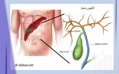 مجاری صفراوی؛ انسداد تا سرطان