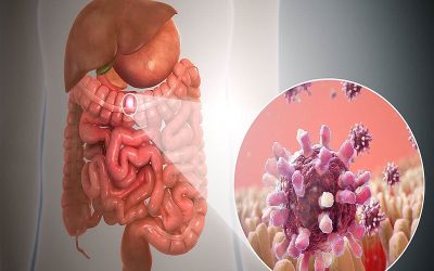 بیماری گاستروانتریت | علائم، علل، تشخیص و راه های درمان